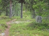 11. Stilte ien mien zail (2)